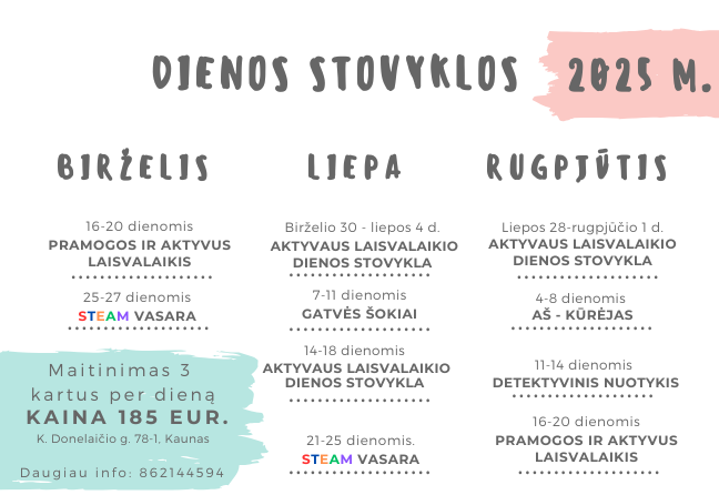 Dienos stovyklos 2025